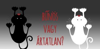 Bűnös vagy ártatlan?